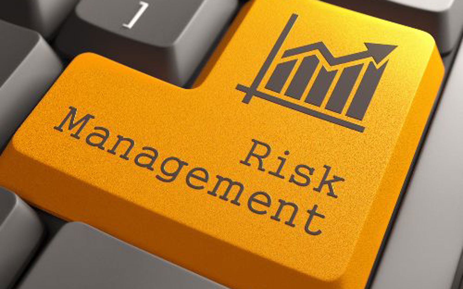 Insurance & Risk Management | NCLM